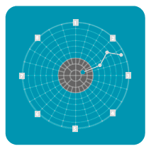 Bewertungskriterien-Polardiagramm-PMB